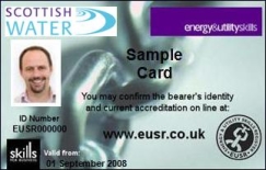 2007 SW DOMS Card